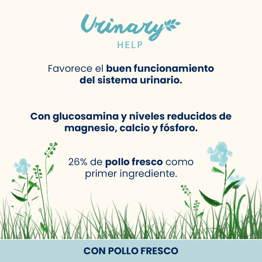 2 kg Almo Nature Urinary Chicken Ra&ccedil;&atilde;o para Gatos, , large Imagem n&uacute;mero 2